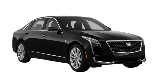 Executive Sedan